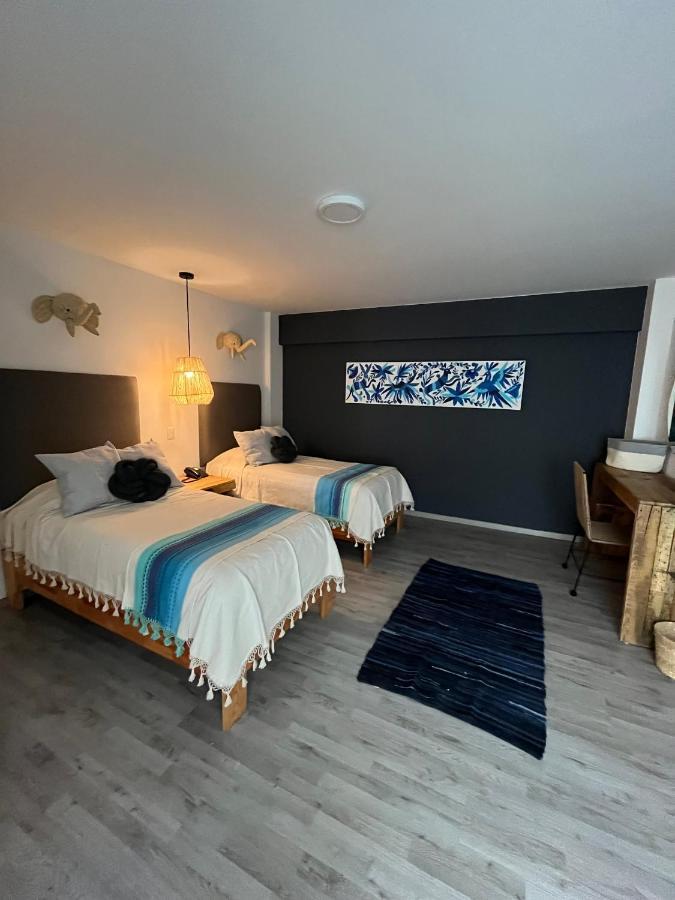 Zen Suites By Regente Oaxaca 外观 照片
