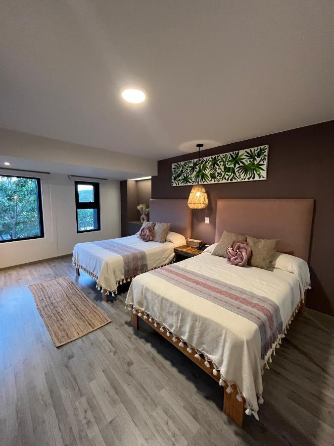 Zen Suites By Regente Oaxaca 外观 照片