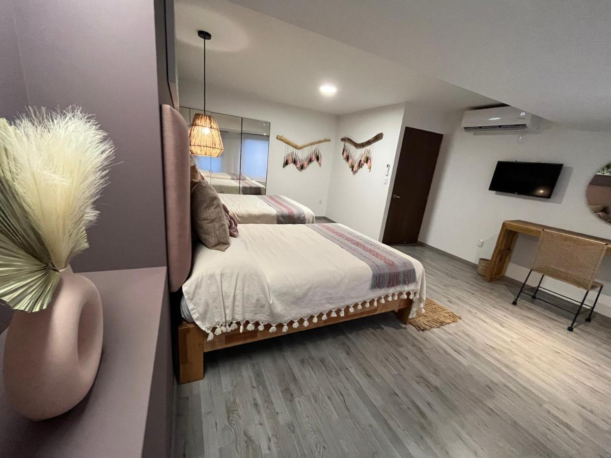 Zen Suites By Regente Oaxaca 外观 照片