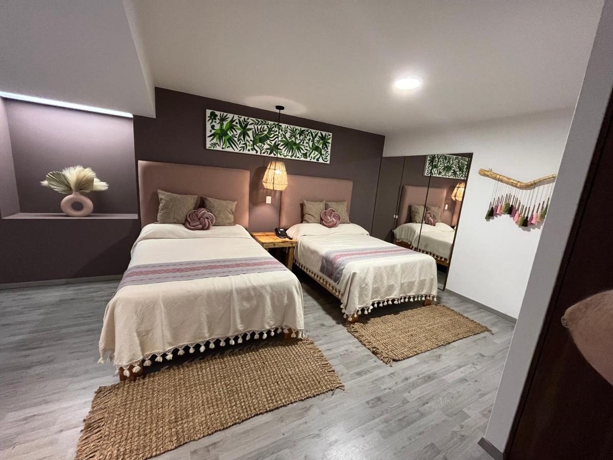 Zen Suites By Regente Oaxaca 外观 照片