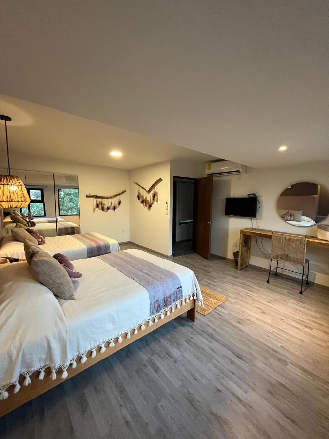 Zen Suites By Regente Oaxaca 外观 照片